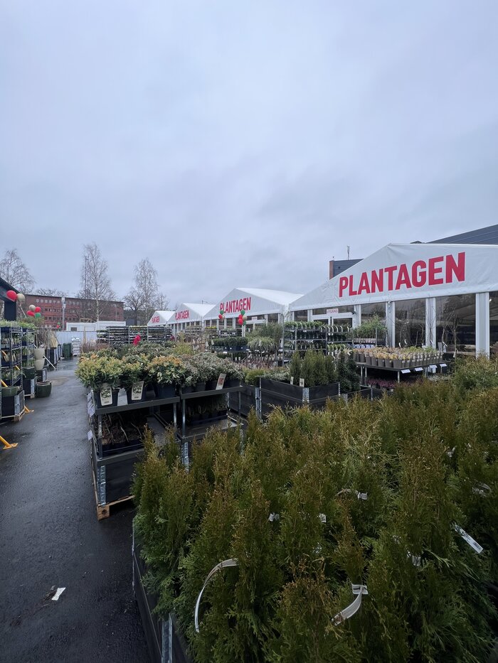 Außenaufnahme von Eventzelten mit Pflanzen in Verkaufsausstellung