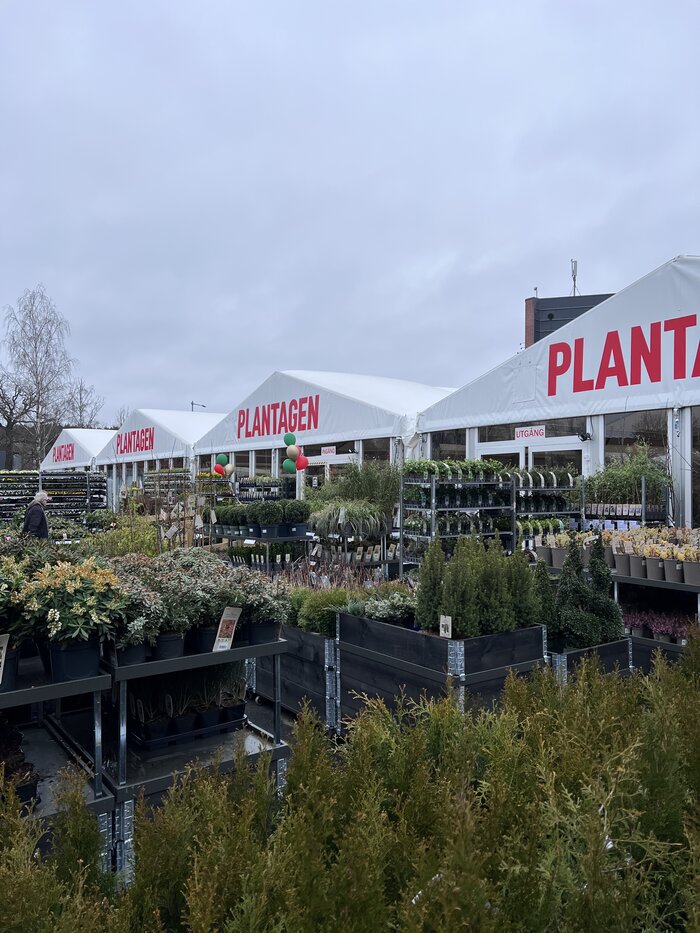 Außenaufnahme von Eventzelten mit Pflanzen in Verkaufsausstellung